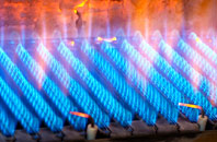 Habin gas fired boilers